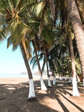 Playa Jaco - Costa Rica-28